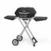 Pit Boss 2-Burner Portable Gas Grill With Collapsible Cart
