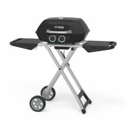 Pit Boss 2-Burner Portable Gas Grill With Collapsible Cart